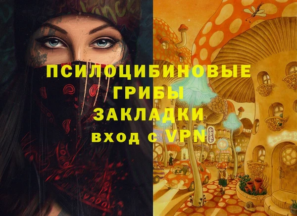 трава Кодинск