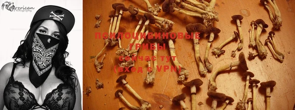 гидропоника Козловка
