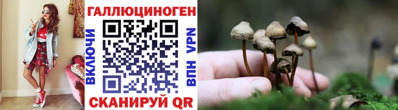 Купить закладки  Данков  Галлюциногенные грибы Cubensis 